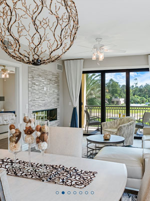 Luxury Living Room Setup